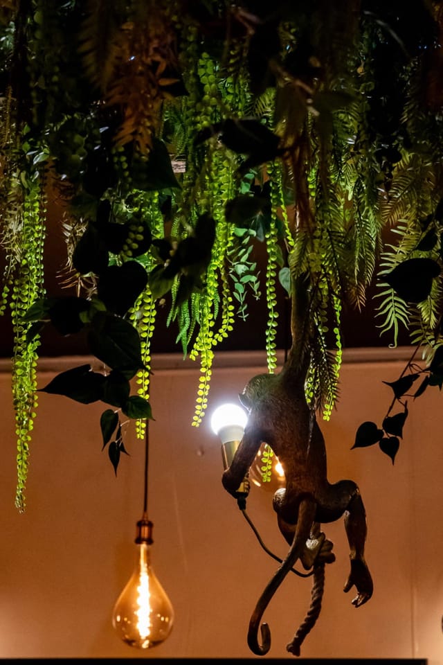 La lampe au singe, sous les plantes